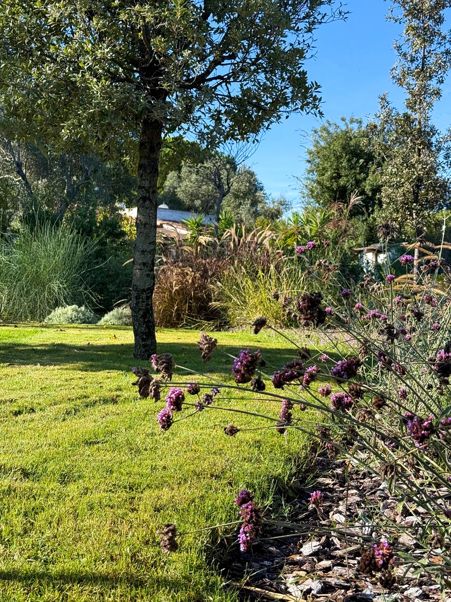 Giardino curato da Antichi Vivai Aversa a Monopoli