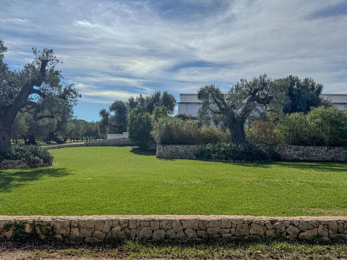 Piscina a sfioro con vista sulla campagna pugliese