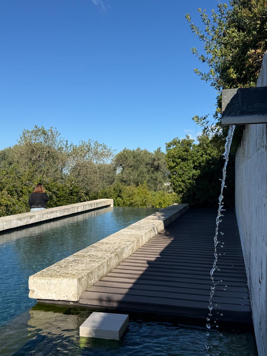 Giardino con piscina e verde curato da Antichi Vivai Aversa