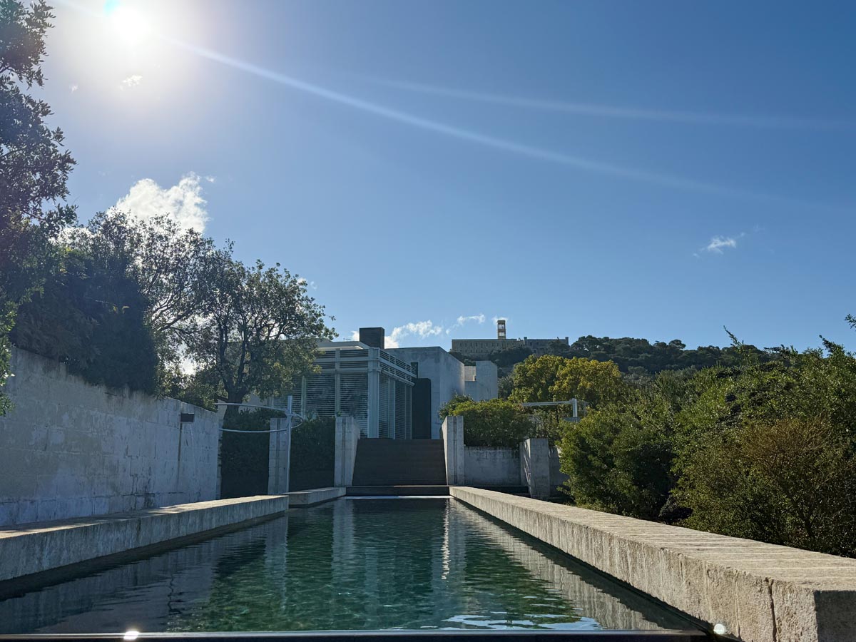 Giardino curato da Antichi Vivai Aversa