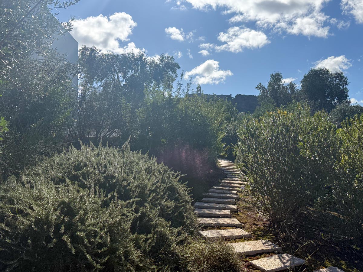 Progetto di giardino curato da Antichi Vivai Aversa