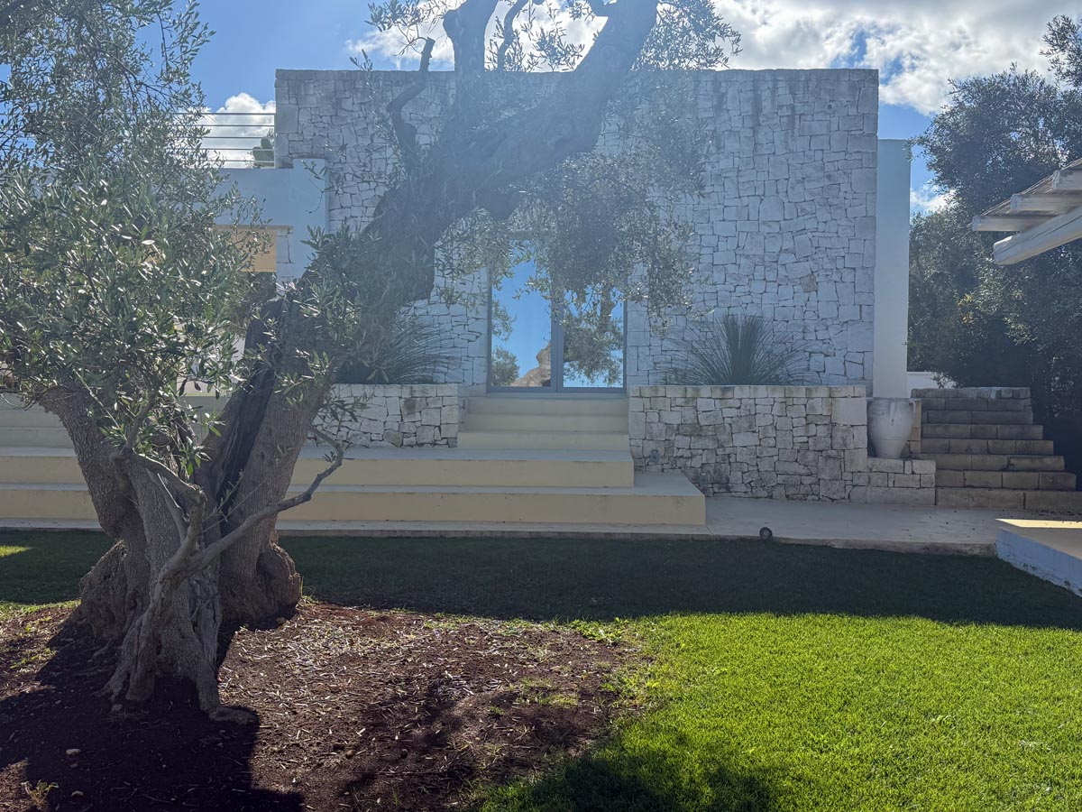 Dettaglio di giardino curato da Antichi Vivai Aversa